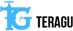 Teragu Sanitaria